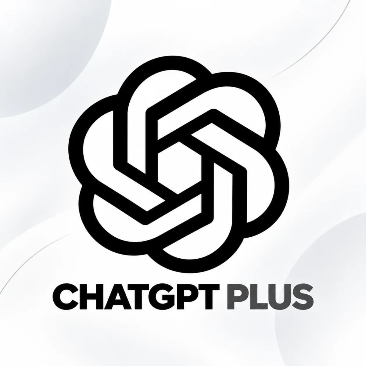 AI CHATGPT PLUS 1 BULAN PRIVATE