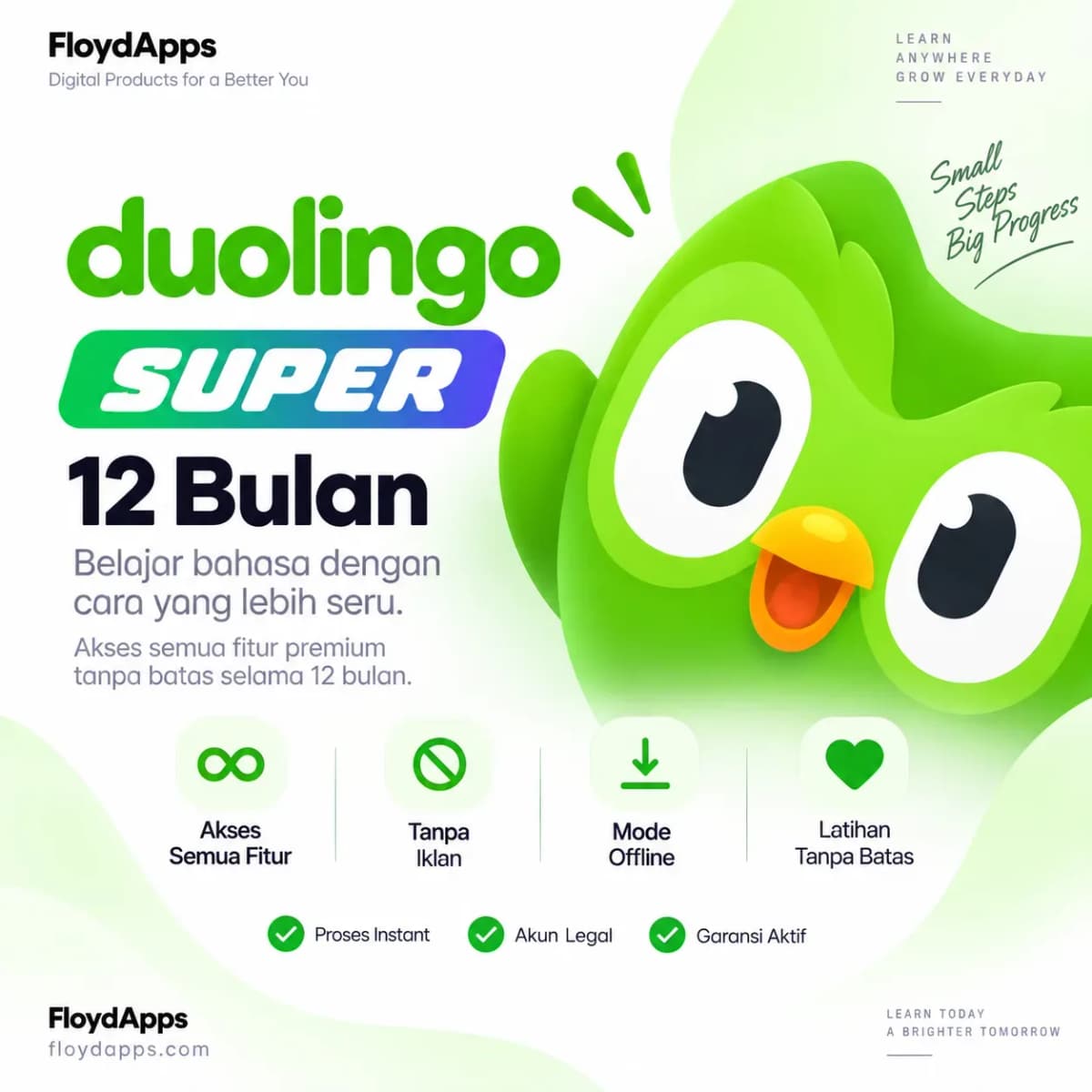 DUOLINGO SUPER 12 BULAN